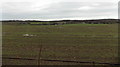 Standing water on a field west of The Gorse, Coleford