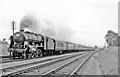 Northbound Summer Saturday express near Haresfield, 1961