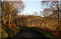 NH6432 : Minor road by Loch Duntelchaig by Peter Bond