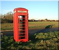 Telephone Box, Goosey