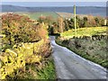 SJ9987 : Mellor Moor, Bogguard Road by David Dixon