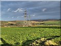 SJ9988 : Pylons Across The Moor by David Dixon