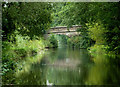 Macclesfield Canal north-east of Buglawton, Cheshire