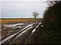 Footpath to Harpham