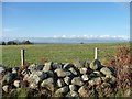 Farmland south-east of Tyddyn Whisgin