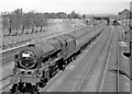 West Coast Main Line at South Kenton, 1955