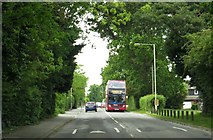 SU7470 : Elm Lane in Lower Earley by Steve Daniels