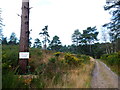 Bridleway reaches Sunningdale Golf Club