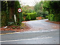 Looking into Lady Margaret Road