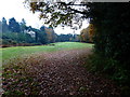 Golf course view from footpath