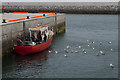L8808 : Quay, Kilronan/Cill Rónáin Harbour by Ian Capper