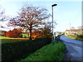 Late autumn colour near Mill Farm, Tytherington