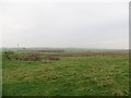 View towards Cladence Moss