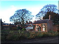 Kitchen garden at Rode Hall