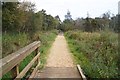 Boardwalk through Turners Wood