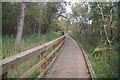 Boardwalk through Turners Wood