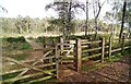 Fencing to contain cattle