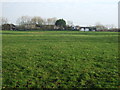 Grazing, Hale Nook