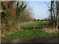 Field entrance off Moss Side Lane