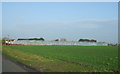 Greenhouses of Lancaster Road, Pilling