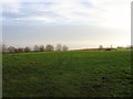 Great Beech Field/Little Beech Field