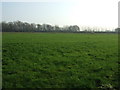 Farmland, Head Dyke Farm