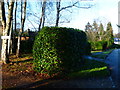 Looking along Llanvair Drive from the entrance to "Graylings"