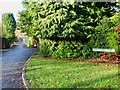 Looking into Regents Walk