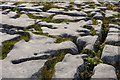 M2300 : Limestone pavement by Ian Capper