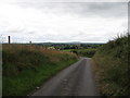 Goward Road approaching the turnoff for the Goward Dolmen