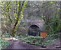 Crescent Wood Tunnel, Sydenham Hill Woods