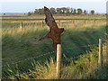 TF6228 : Wildfowlers Association sign next to the sea bank by Mat Fascione
