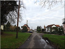 TM1178 : Lows Lane, Palgrave by Geographer