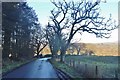 Road to Balfron Station at Boquhan