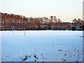 Loppetts Road playing field, Crawley