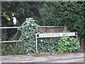 Heron in Cranemoor Avenue