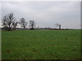 SD4341 : Farmland near White Hall House by JThomas