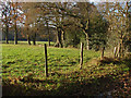 SU9360 : Priest Lane meadows by Alan Hunt