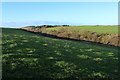 Farmland at Merk Hill