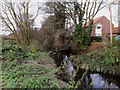 River Waveney