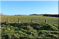 Farmland at Hallowshean Lodge