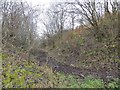 Colliery site, Loanend