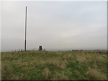 NS6558 : Triangulation pillar, Dechmont Hill by Richard Webb