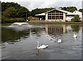 Herg?s and Gunknowe Loch at Tweedbank