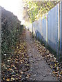 Footpath - Thornes Road