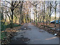 Footpath - Thornes Park