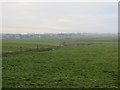 Grassland near Cloverhill