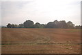 Farmland, Linkhill