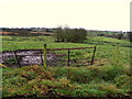 Priestsessagh Townland