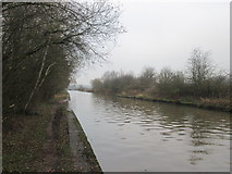 SJ6675 : Trent and Mersey Canal northwest of Marston by John Slater